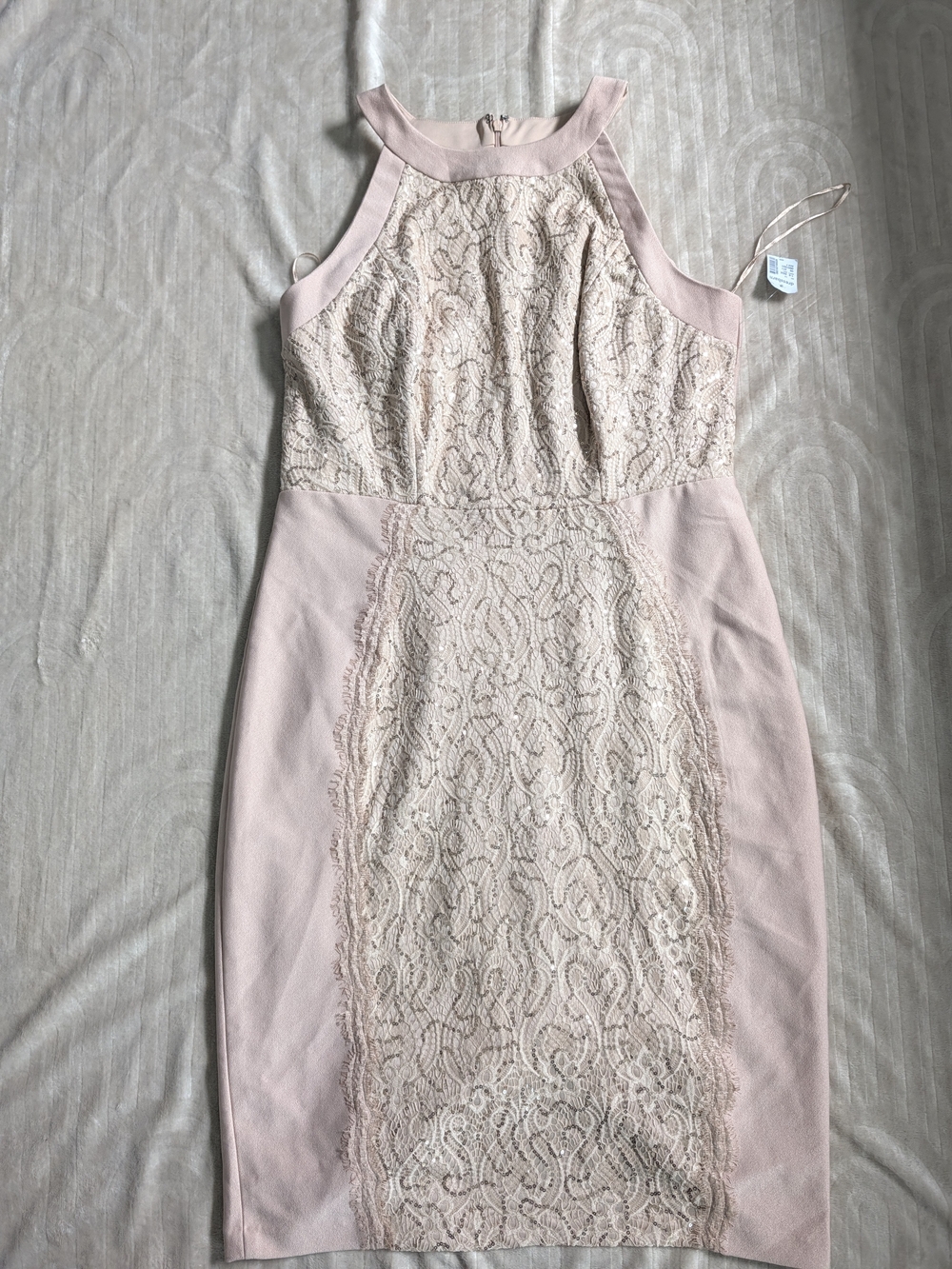 Roz & Ali Pale Blush Lace-Panel Halter Midi Dress